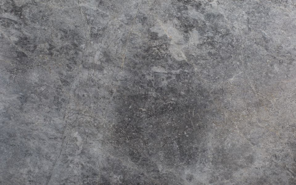 Spider Grey
